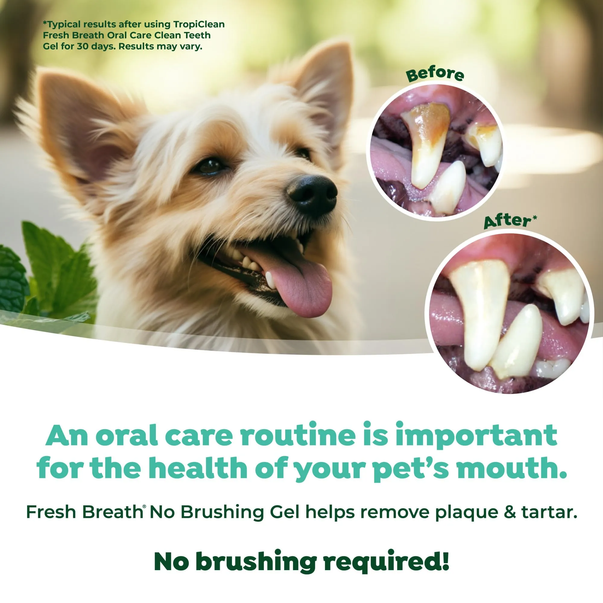 Fresh Breath by TropiClean - Gel di Igiene Dentale per Cuccioli - Denti Puliti, Senza Spazzolare - Combatti Placca & Tartaro - 59 ml - immagine 5