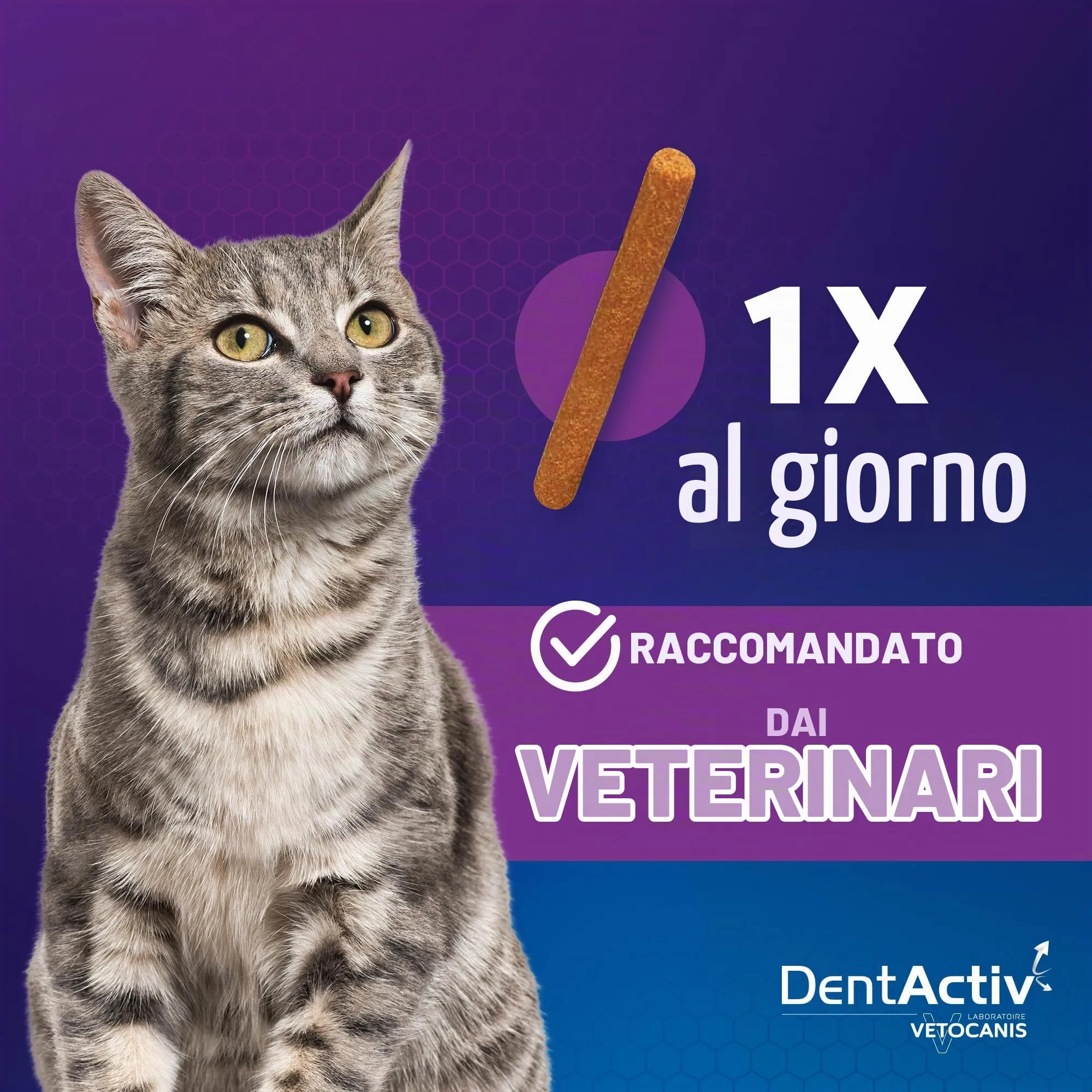 Vetocanis | Dentactiv | Stick Dentistico Gatto | Dolcetti per Gatti Gourmet | Igiene e Salute del Gatto | Ricco di Carne | 85% di Pollo | Consigliato dai Veterinari | Sistema Anti-Placca - immagine 7