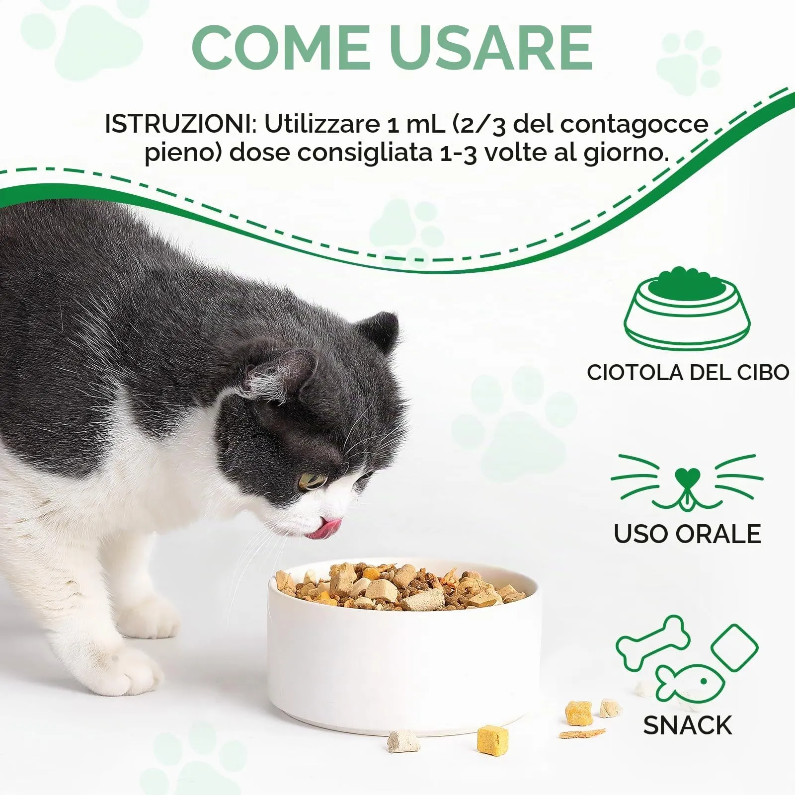 Antibiotici Naturali per Gatti - Trattamento Infezioni Cutanee, Respiratorie e Urinarie,Antibiotici per gatti,Sollievo per la pelle pruriginosa del,Sollievo per le allergie del - 60ml - immagine 6