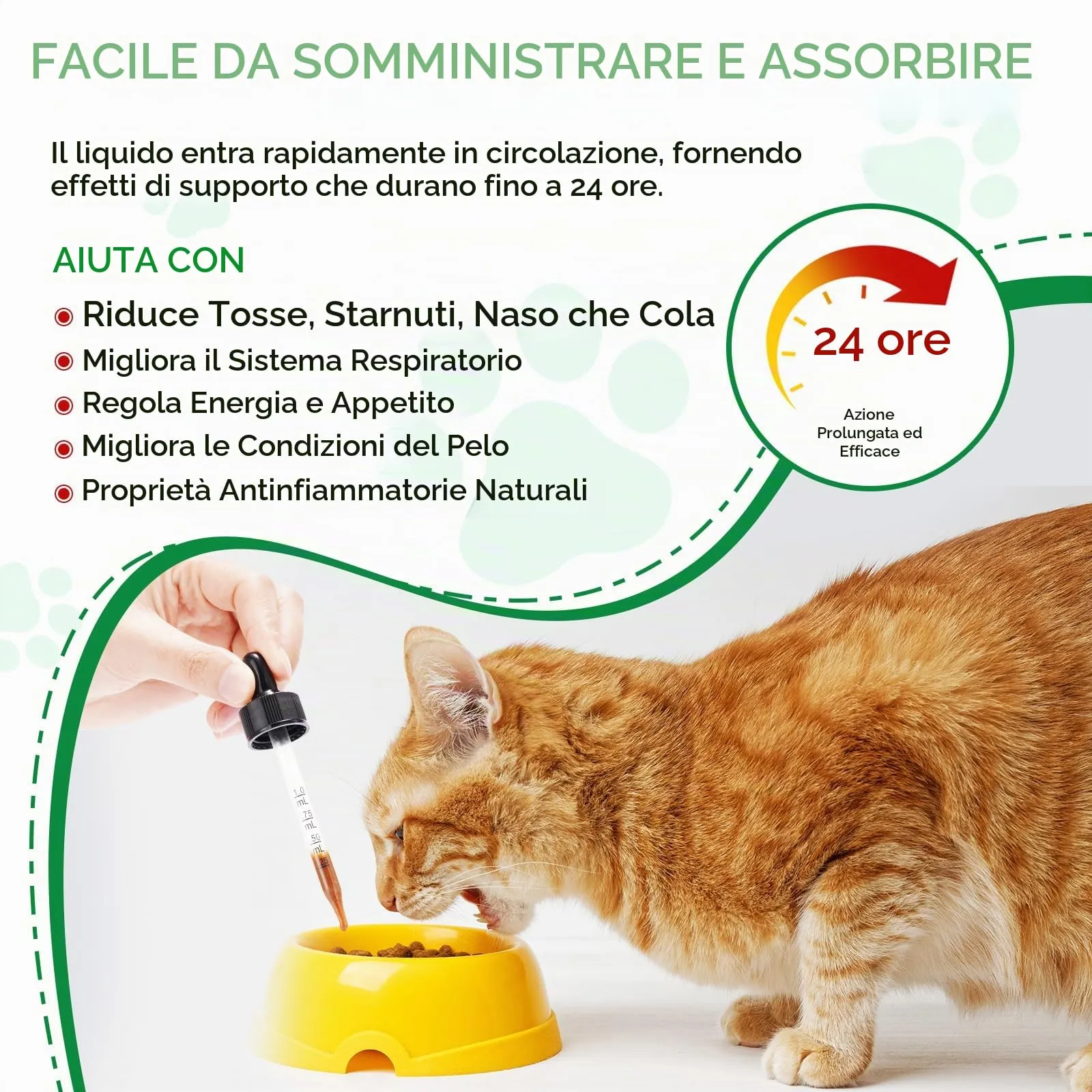 Antibiotici Naturali per Gatti - Trattamento Infezioni Cutanee, Respiratorie e Urinarie,Antibiotici per gatti,Sollievo per la pelle pruriginosa del,Sollievo per le allergie del - 60ml - immagine 7