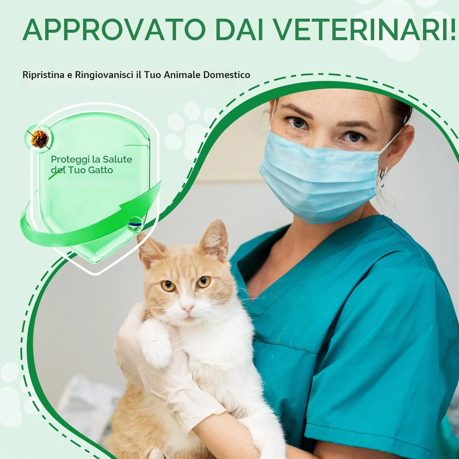 Antibiotici Naturali per Gatti - Trattamento Infezioni Cutanee, Respiratorie e Urinarie,Antibiotici per gatti,Sollievo per la pelle pruriginosa del,Sollievo per le allergie del - 60ml - immagine 8