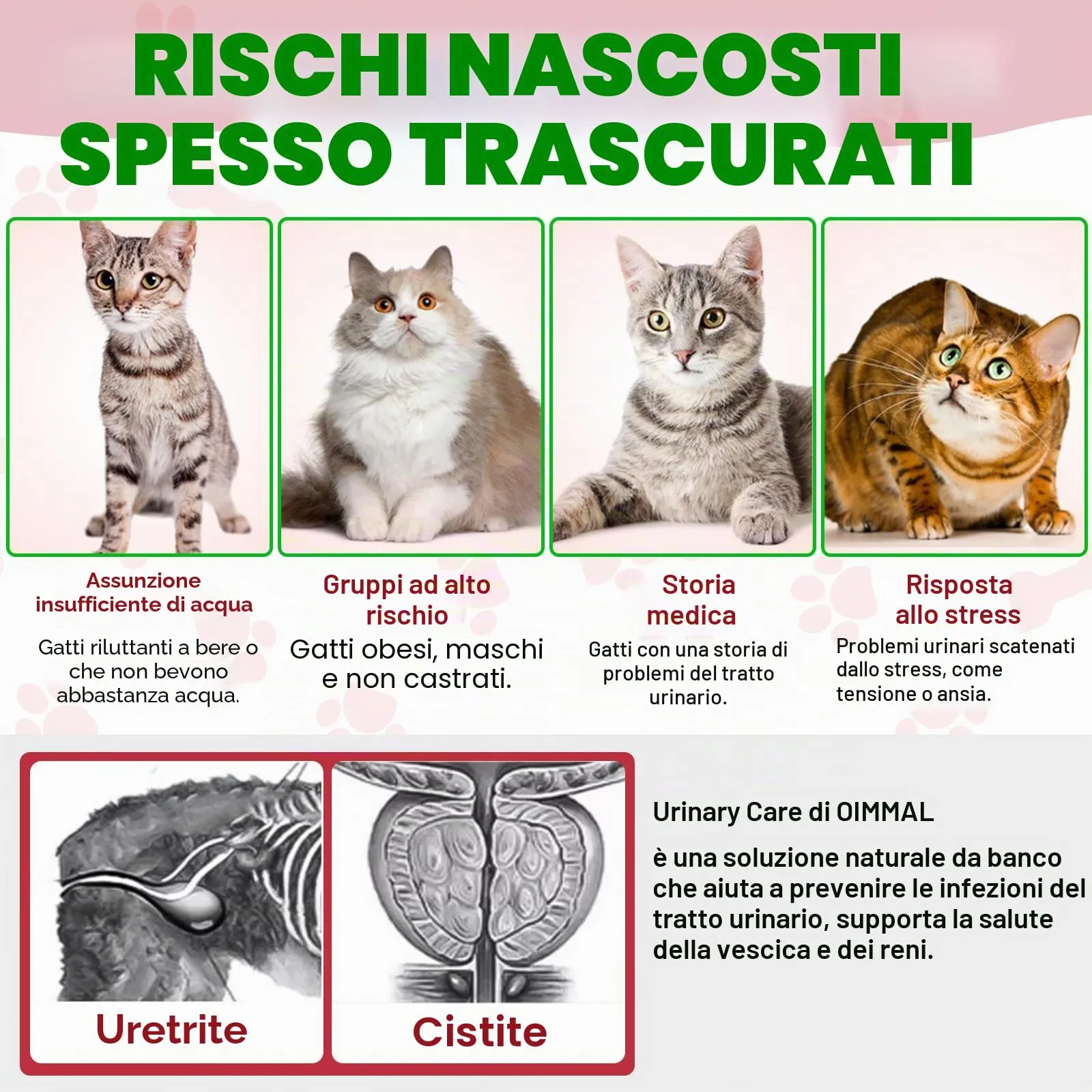 Gocce Di Trattamento Dell'Infezione Urinaria Del Gatto,2 Fl Oz Gocce Di Riparazione Dell'Uti Del Gatto Sostiene La Vescica,Pietra Renale, Salute Per La Cura Delle Urine Per I Gatti (2 Bottiglia) - immagine 7
