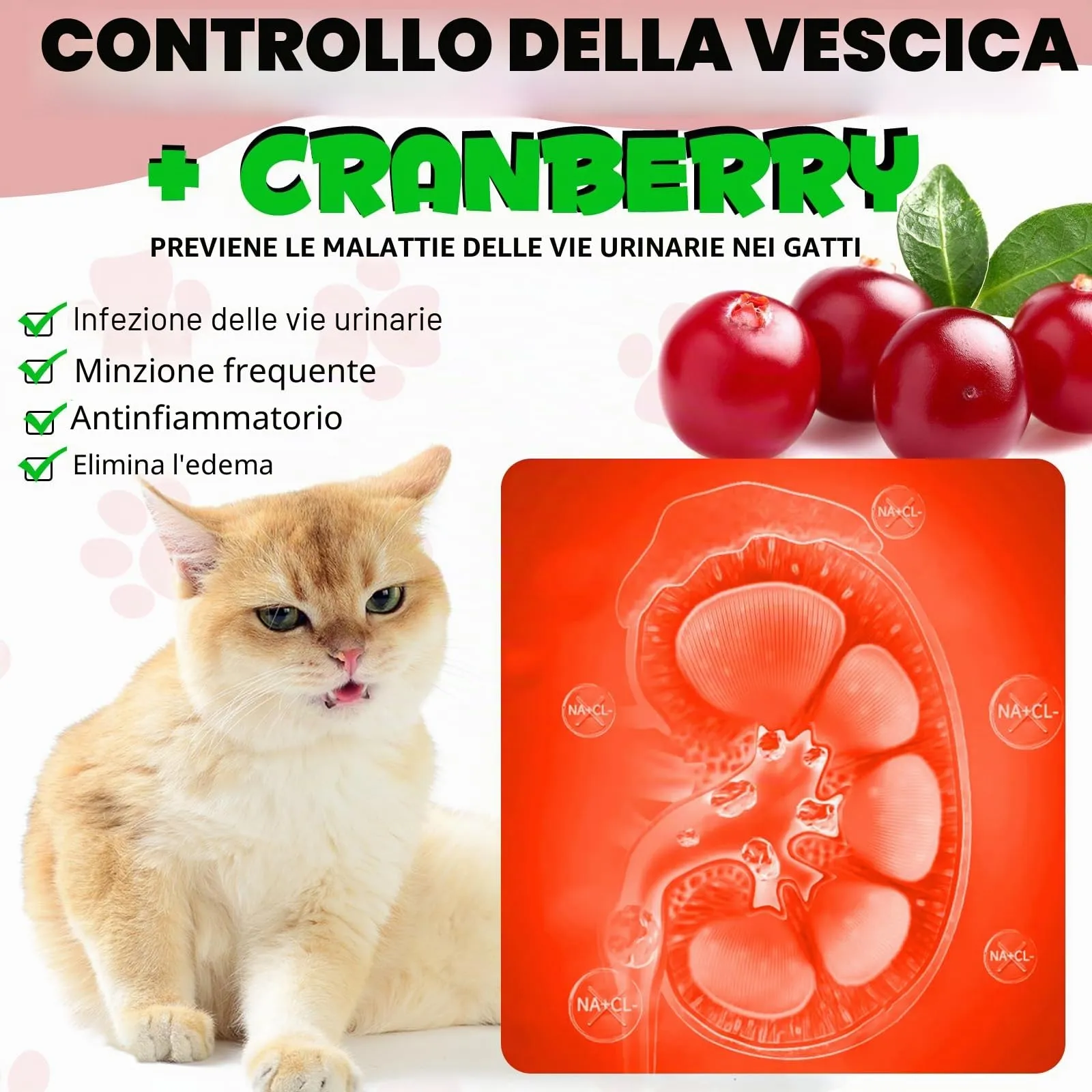 Gocce Di Trattamento Dell'Infezione Urinaria Del Gatto,2 Fl Oz Gocce Di Riparazione Dell'Uti Del Gatto Sostiene La Vescica,Pietra Renale, Salute Per La Cura Delle Urine Per I Gatti (2 Bottiglia) - immagine 9