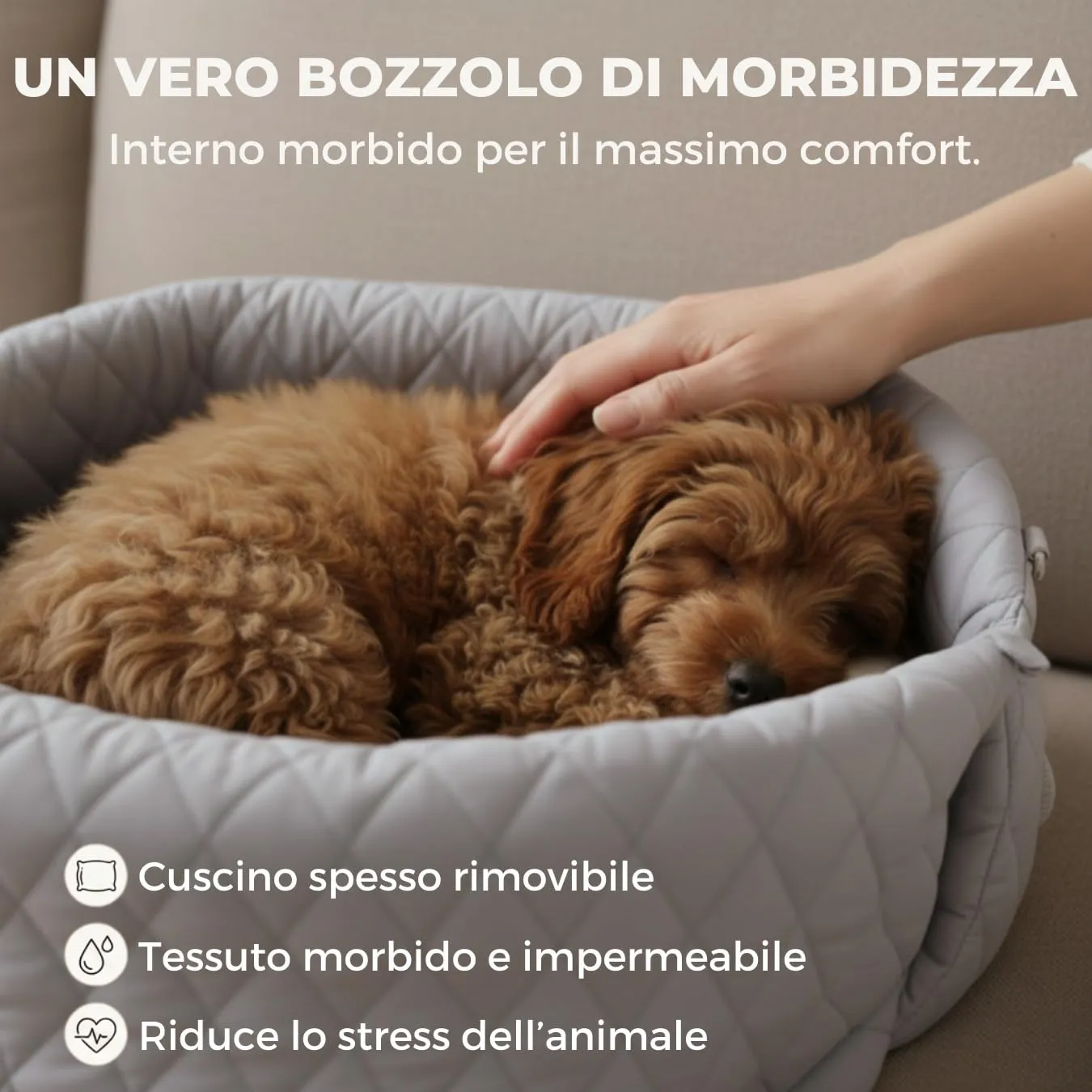 Borsa per cane piccola taglia, trasportino cani auto 3 kg, borsa chihuahua - immagine 5