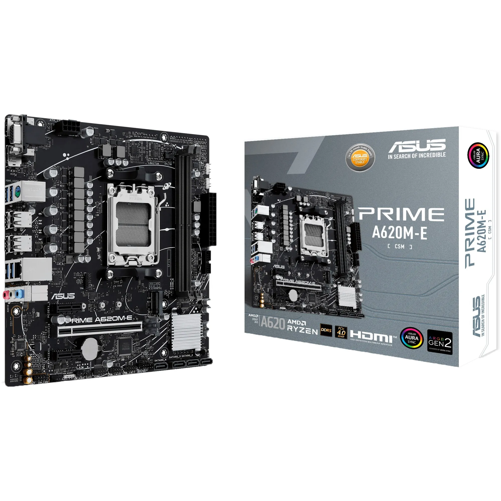 PRIME A620M-E-CSM AMD A620 Socket AM5 micro ATX, Scheda madre - immagine 1