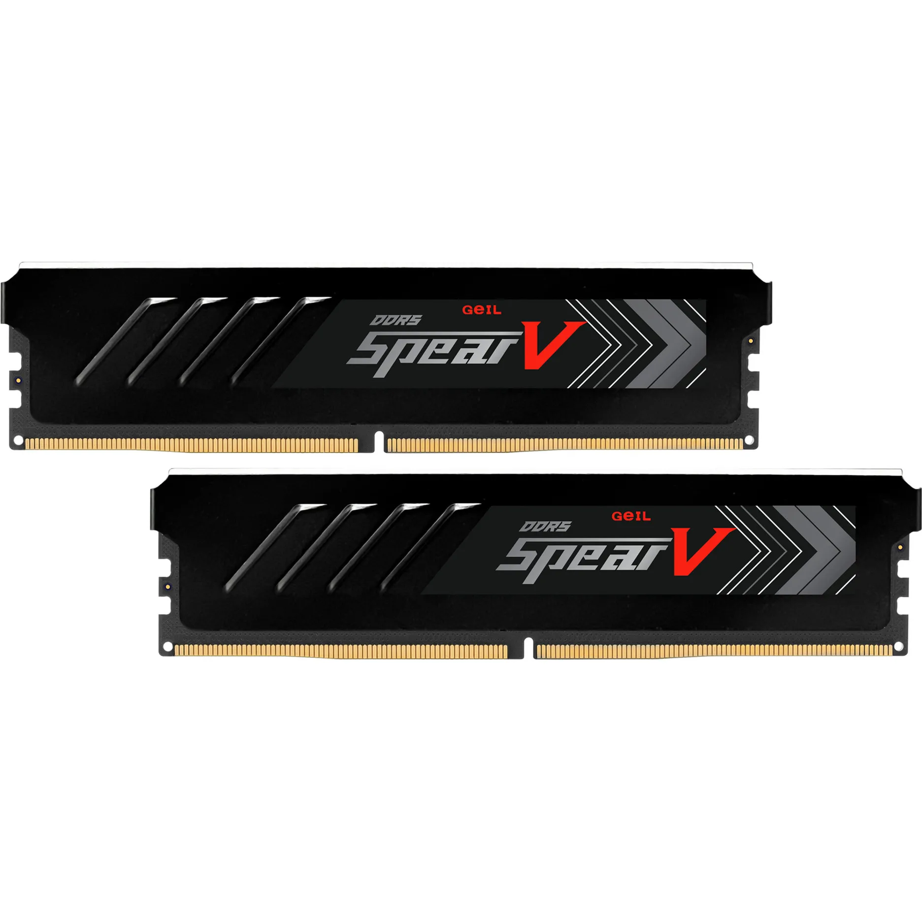 DIMM 32 GB DDR5-6000 (2x 16 GB) Kit Dual, Memoria - immagine 1