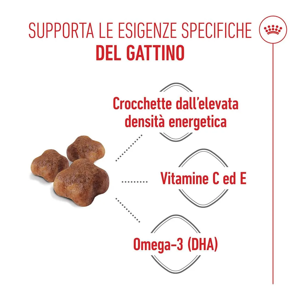 ROYAL CANIN Mother & Babycat - Alimento secco completo per gatti - 2kg - immagine 3