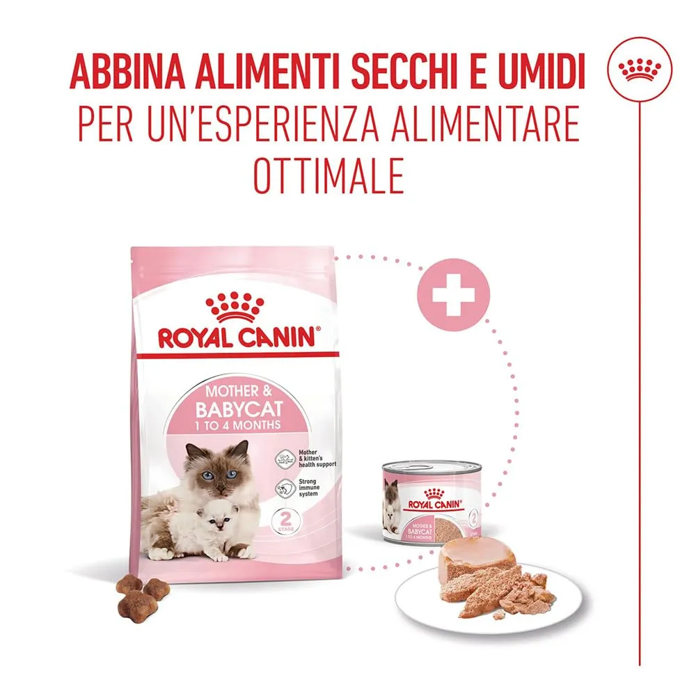ROYAL CANIN Mother & Babycat - Alimento secco completo per gatti - 2kg - immagine 5