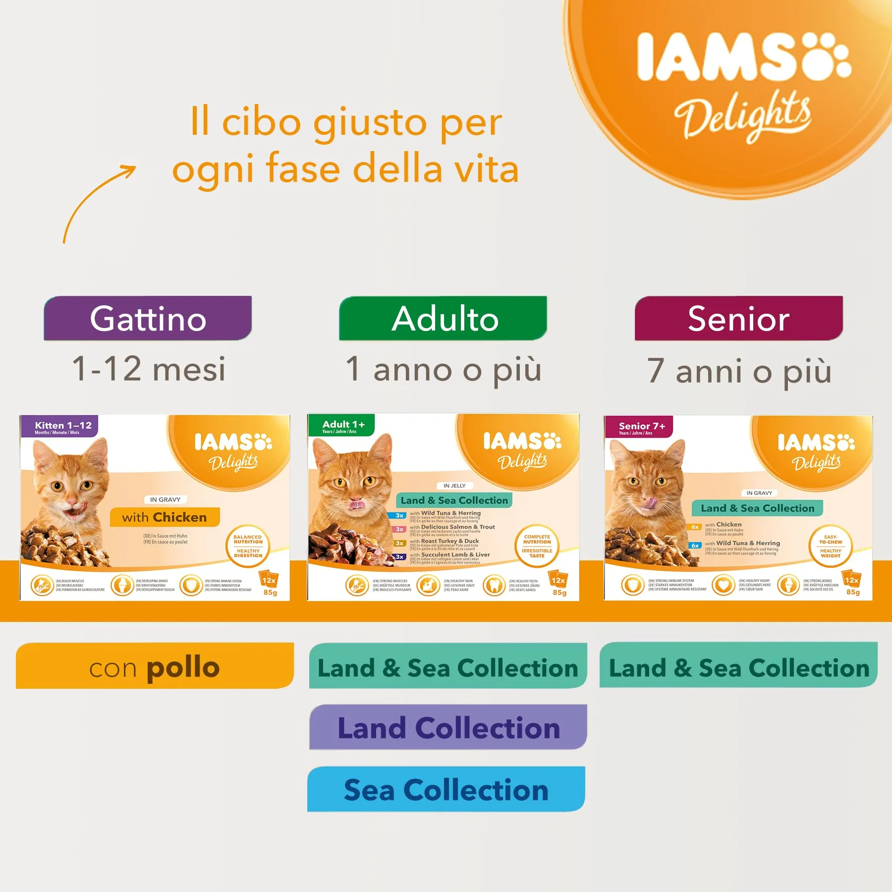 IAMS Delights Land Collection Cibo Umido per Gatti in Salsa, 12 x 85 g - immagine 4