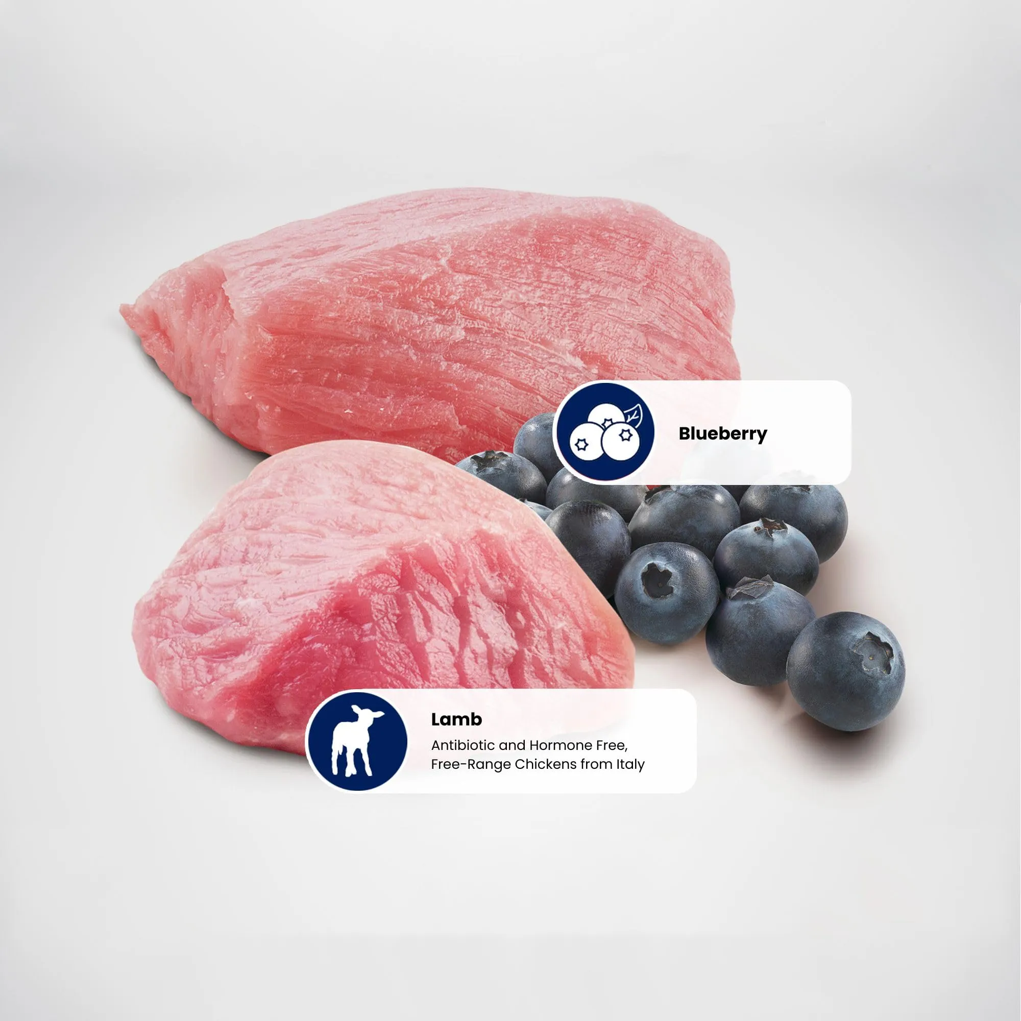 N&D Prime Cat Lamb & Blueberry Adult 5KG - immagine 6