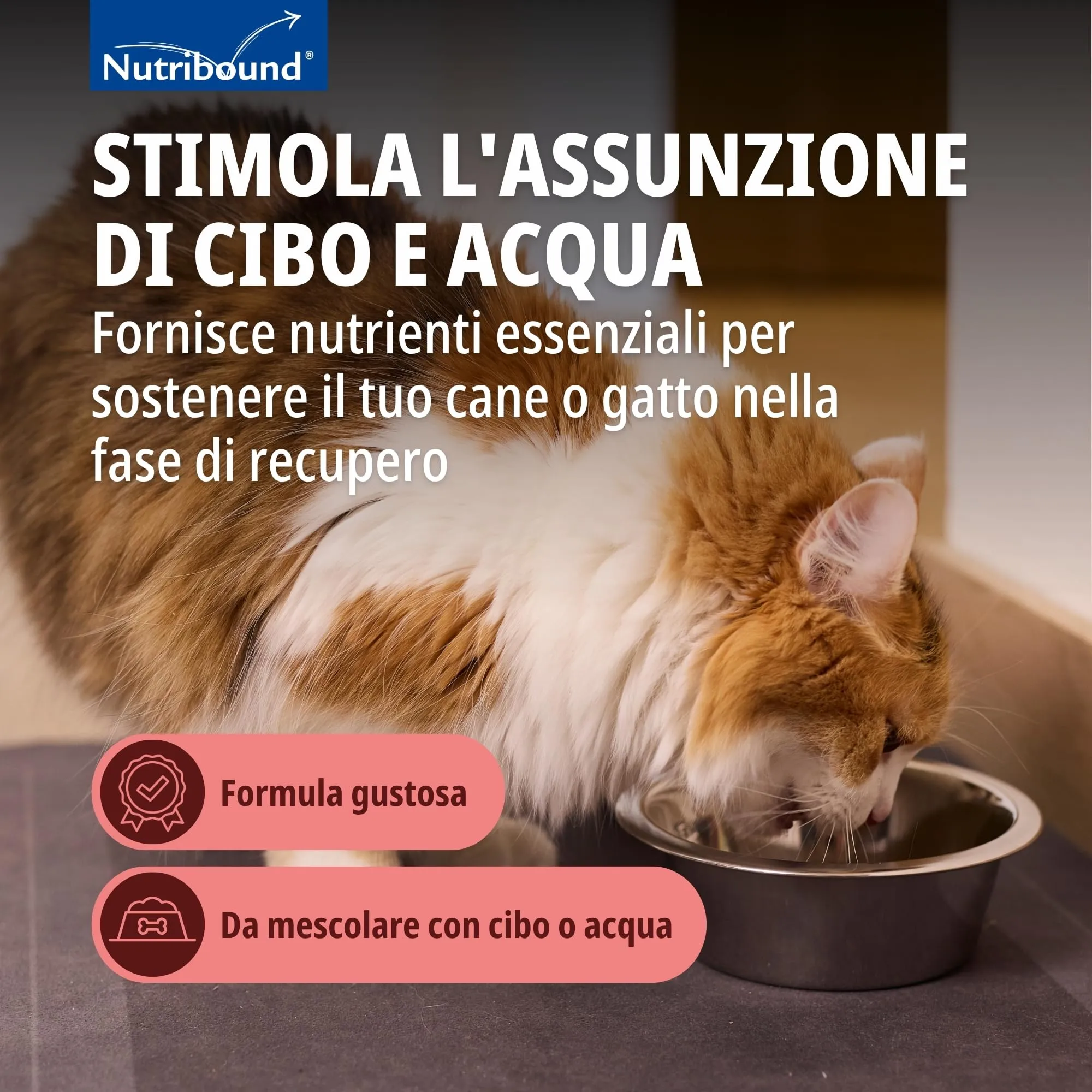 Virbac Nutribound mangime complementare liquido per gatti 150 ml - immagine 3