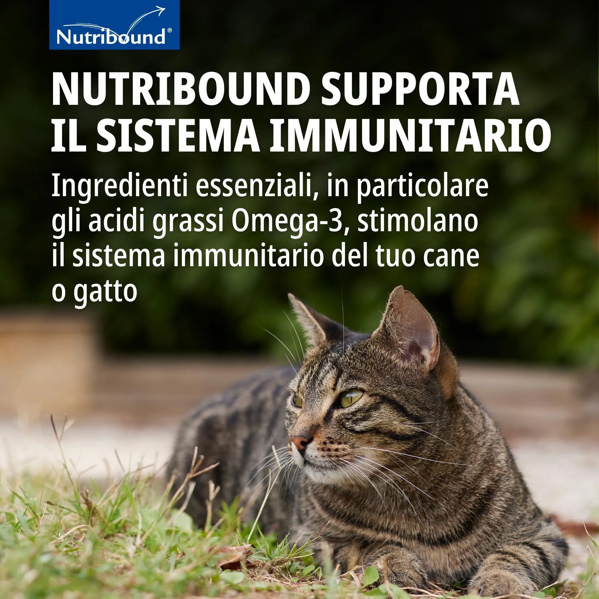 Virbac Nutribound mangime complementare liquido per gatti 150 ml - immagine 5