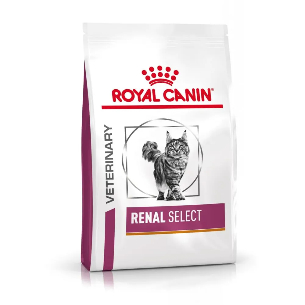 Royal Canin Veterinary Renal Select | 2 kg | Alimento dietetico completo per gatti | Può aiutare a sostenere la funzione renale nell'insufficienza renale - immagine 1