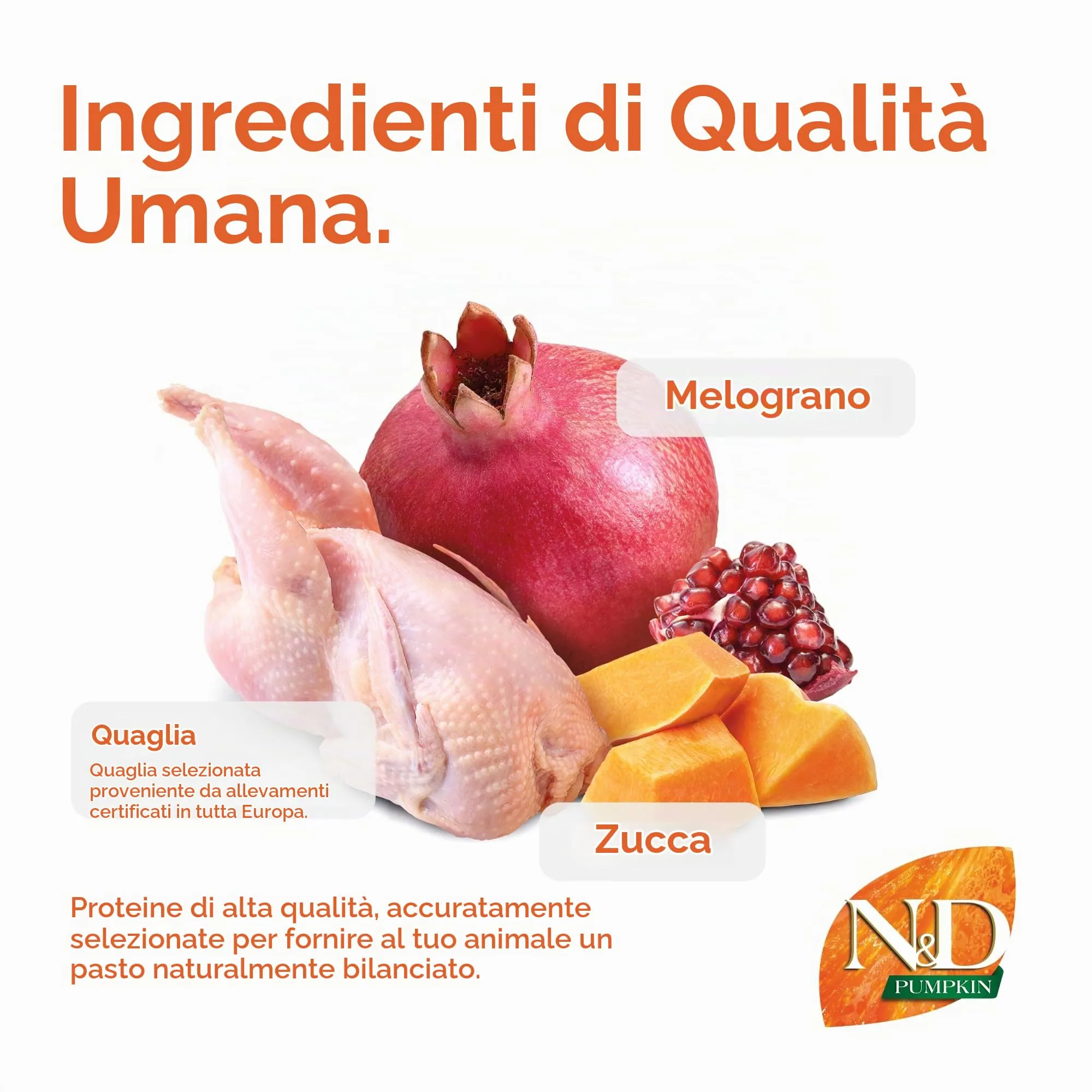 Farmina N&D Pumpkin Neutered Quaglia, Zucca E Melograno, 5 kg - immagine 4