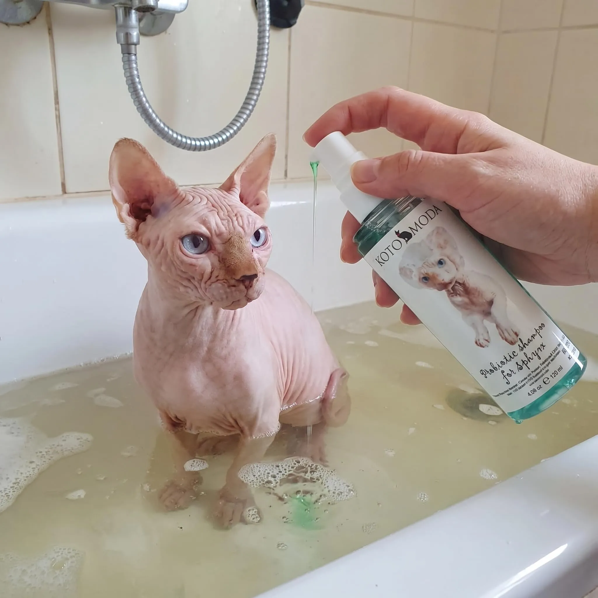 Kotomoda Shampoo Probiotico per Gatti Sphynx, Detergente delicato non profumato per razze nude e a pelo corto, Formula a pH bilanciato idratante per pelle sensibile, 120 ml / 4,06 fl oz - immagine 8