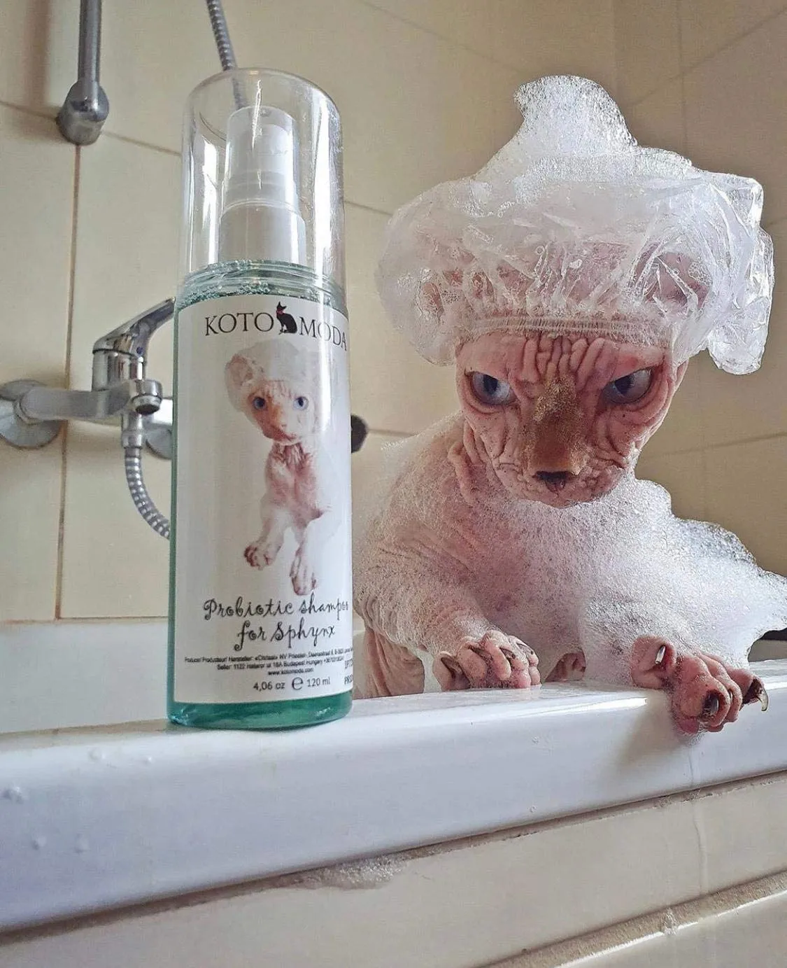 Kotomoda Shampoo Probiotico + Dispenser di Schiuma per Gatti Sphynx, detergente delicato senza profumo per razze senza pelo e a pelo corto, formula idratante a pH bilanciato, 120 ml / 4,06 fl oz - immagine 3