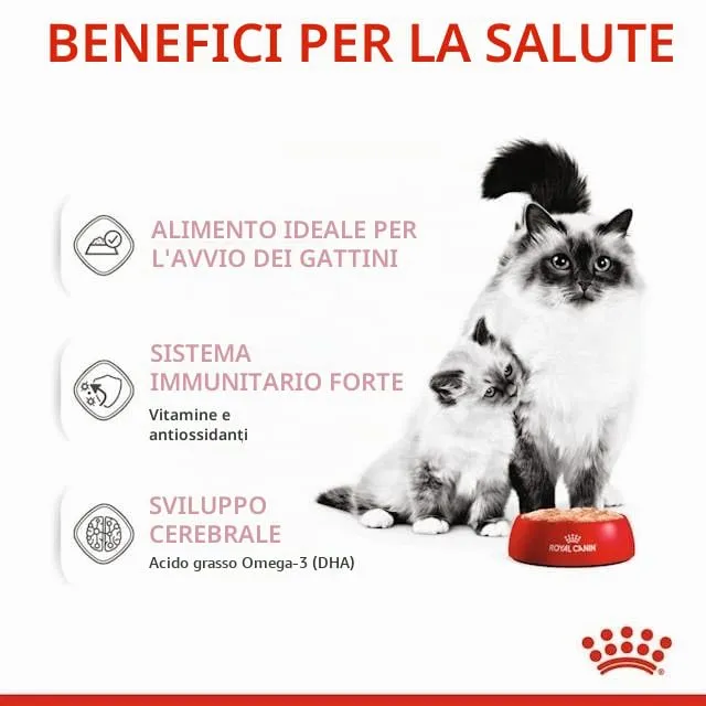 Royal Canin Mother & Babycat Mousse | 12 x 195 g | Alimento completo per gatti | Specifico per gatte madri e i loro cuccioli | Per sostenere le difese dell'organismo - immagine 7
