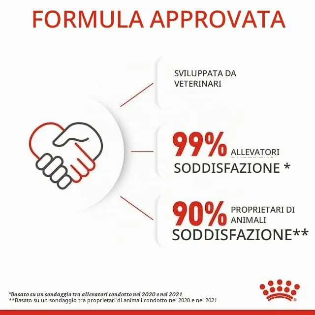 Royal Canin Mother & Babycat Mousse | 12 x 195 g | Alimento completo per gatti | Specifico per gatte madri e i loro cuccioli | Per sostenere le difese dell'organismo - immagine 9