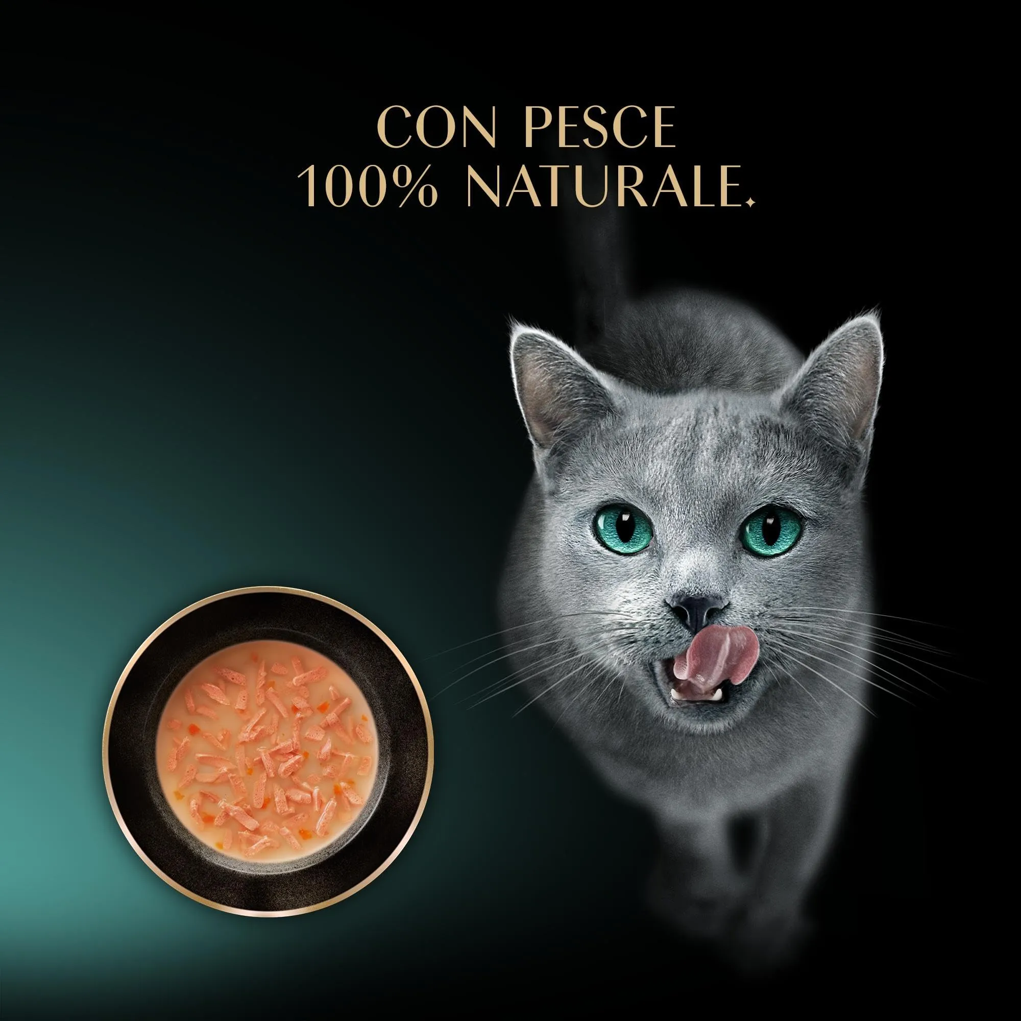 Busta di cibo umido per gatti adulti SHEBA Soup con Salmone, confezione da 40 (10x4x40g) - immagine 8