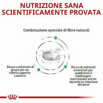 Royal Canin Satiety Weight Management Feline | Confezione doppia | 2 x 400 g | Alimento dietetico completo per gatti | Per gatti a basso contenuto energetico per ridurre il sovrappeso. - immagine 6