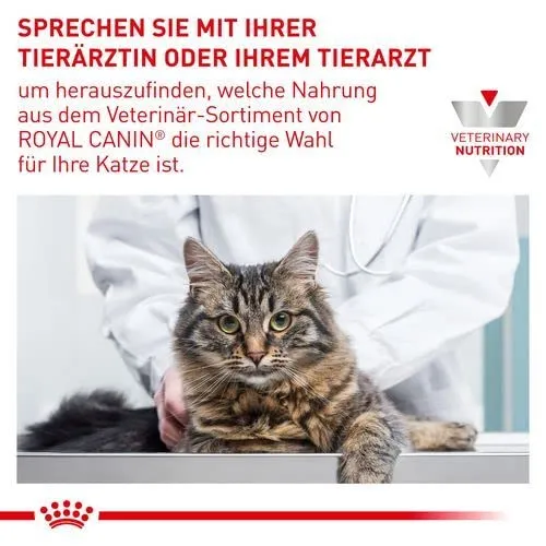 Royal Canin Veterinary Urinary S/O | Confezione Doppia | 2 x 12 x 85 g | Alimento dietetico completo per gatti | Per la dissoluzione dei calcoli di struvite | Basso indice RSS | Bocconcini in salsa - immagine 5
