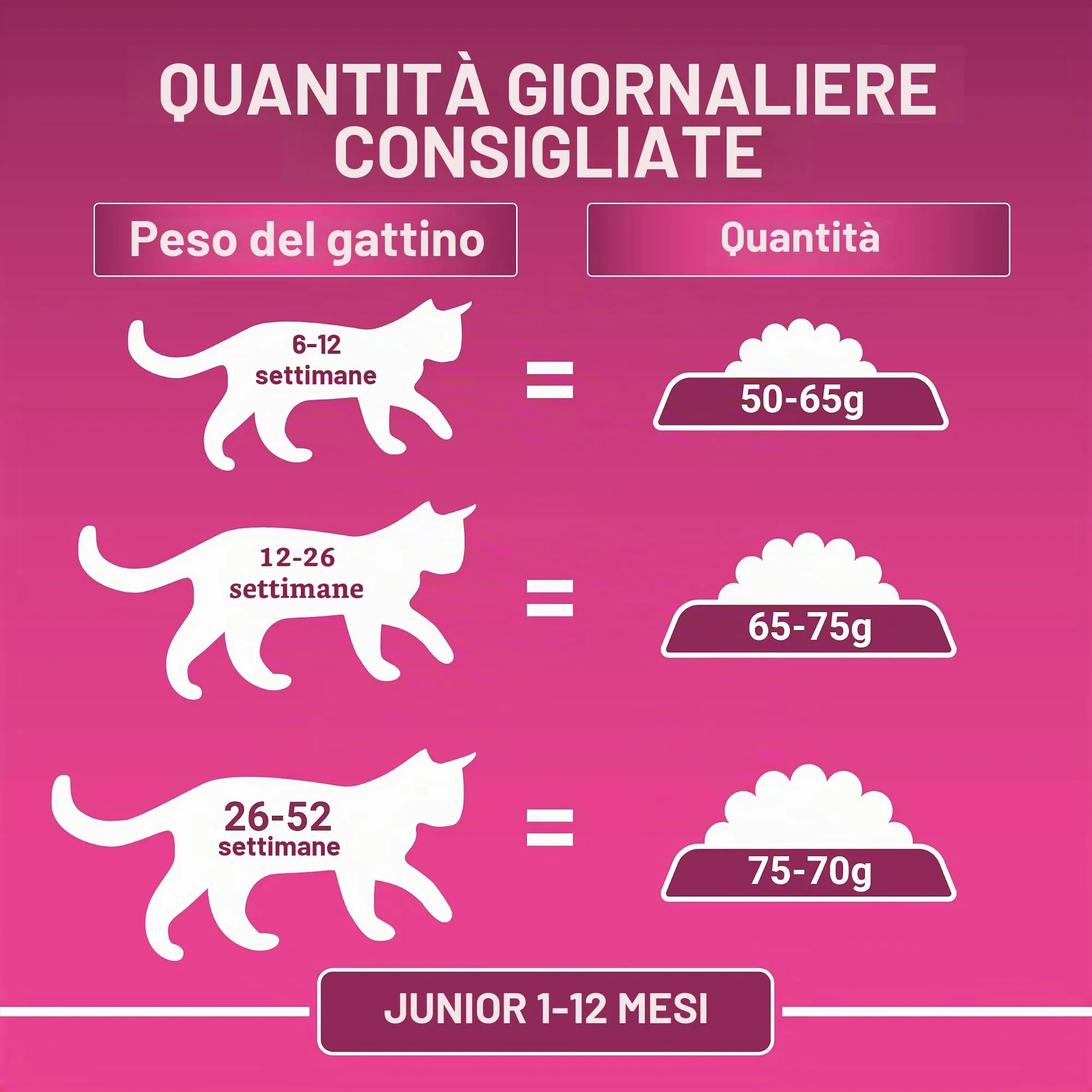 PURINA ONE Gatto Junior Da 1 A 12 Mesi, Sviluppato con Salmone selezionato 1,5 kg - Crocchette per Gattini - immagine 4
