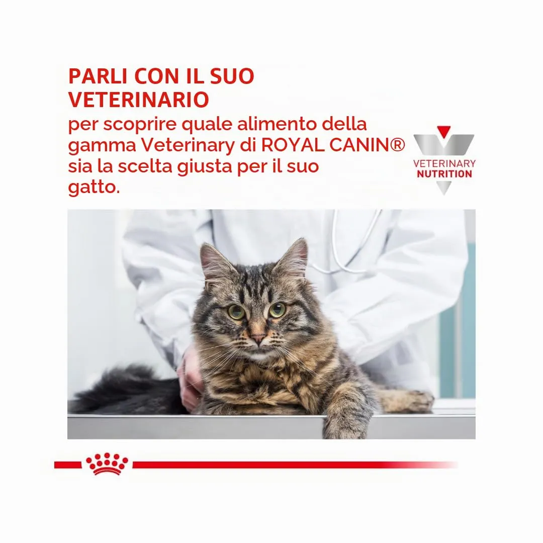 Royal Canin Veterinary Gastrointestinal Kitten | 12 x 195 g | Cibo umido per gattini | Mousse ultra morbida | Per favorire la digestione e la crescita dei gattini. - immagine 8