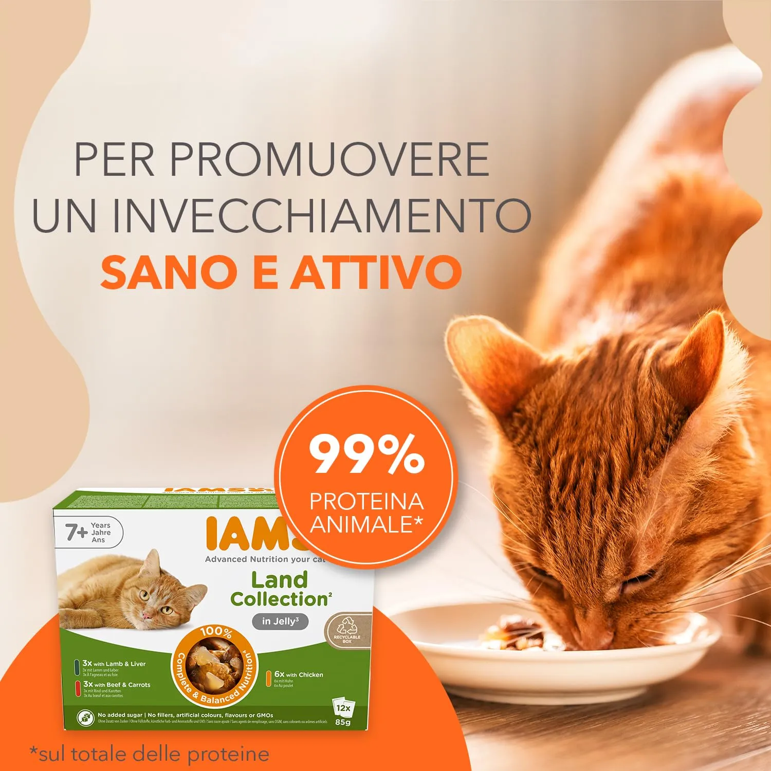 IAMS Senior Land Collection - Cibo umido per gatti in gelatina, 12 x 85 g - immagine 2