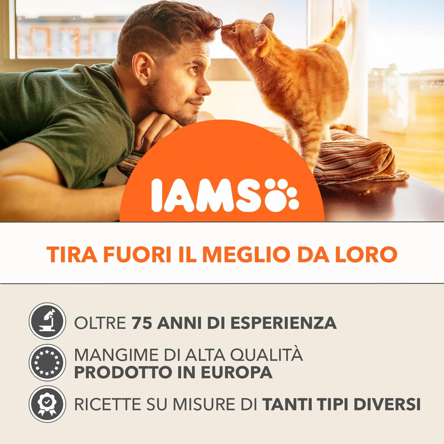 IAMS Senior Land Collection - Cibo umido per gatti in gelatina, 12 x 85 g - immagine 7