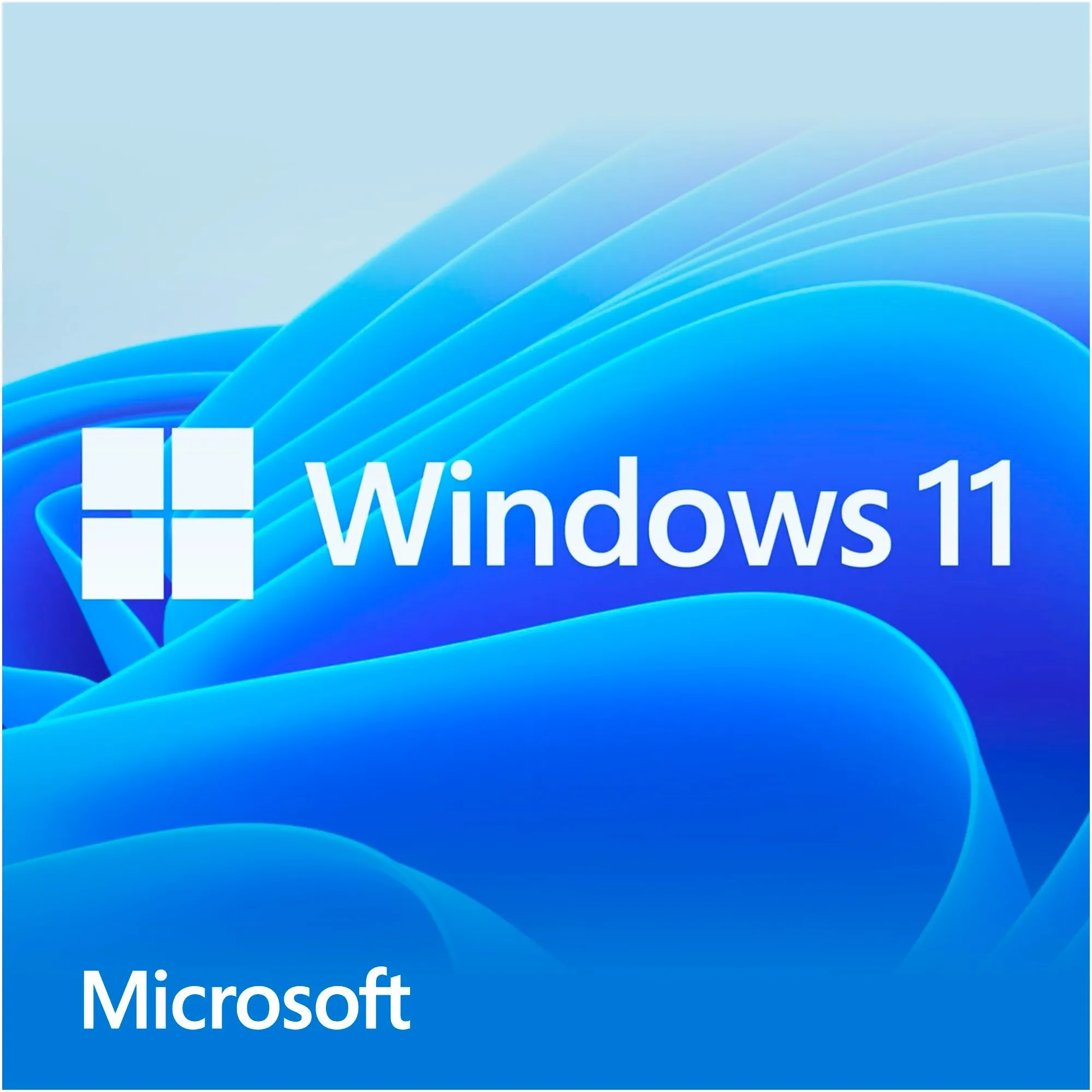 Windows 11 Home 1 licenza/e, Software - immagine 1