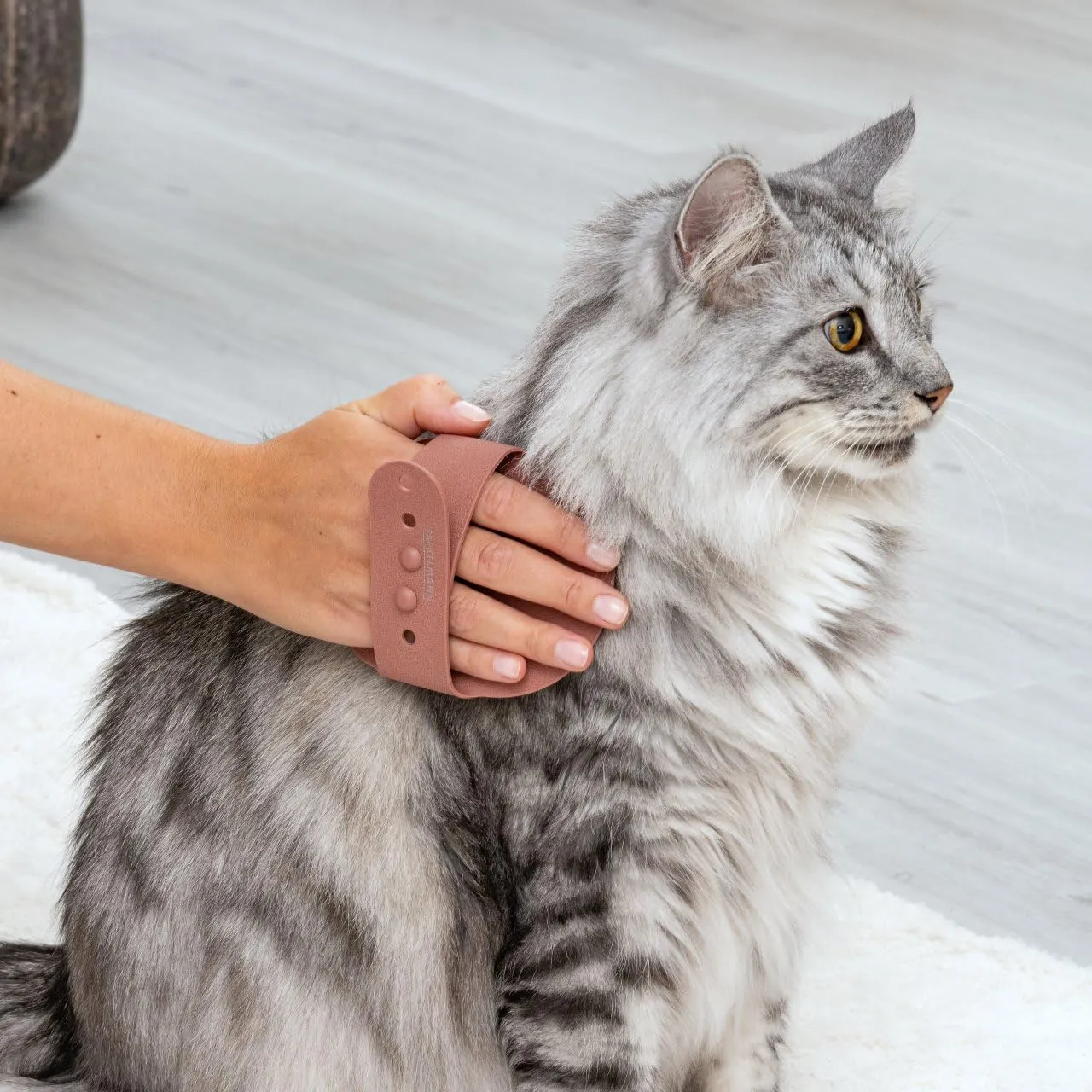 Fackelmann Spazzola massaggiante per animali, ideale per favorire il benessere del manto, riutilizzabile, lavabile a mano, leggera e perfetta per cani e gatti - immagine 5