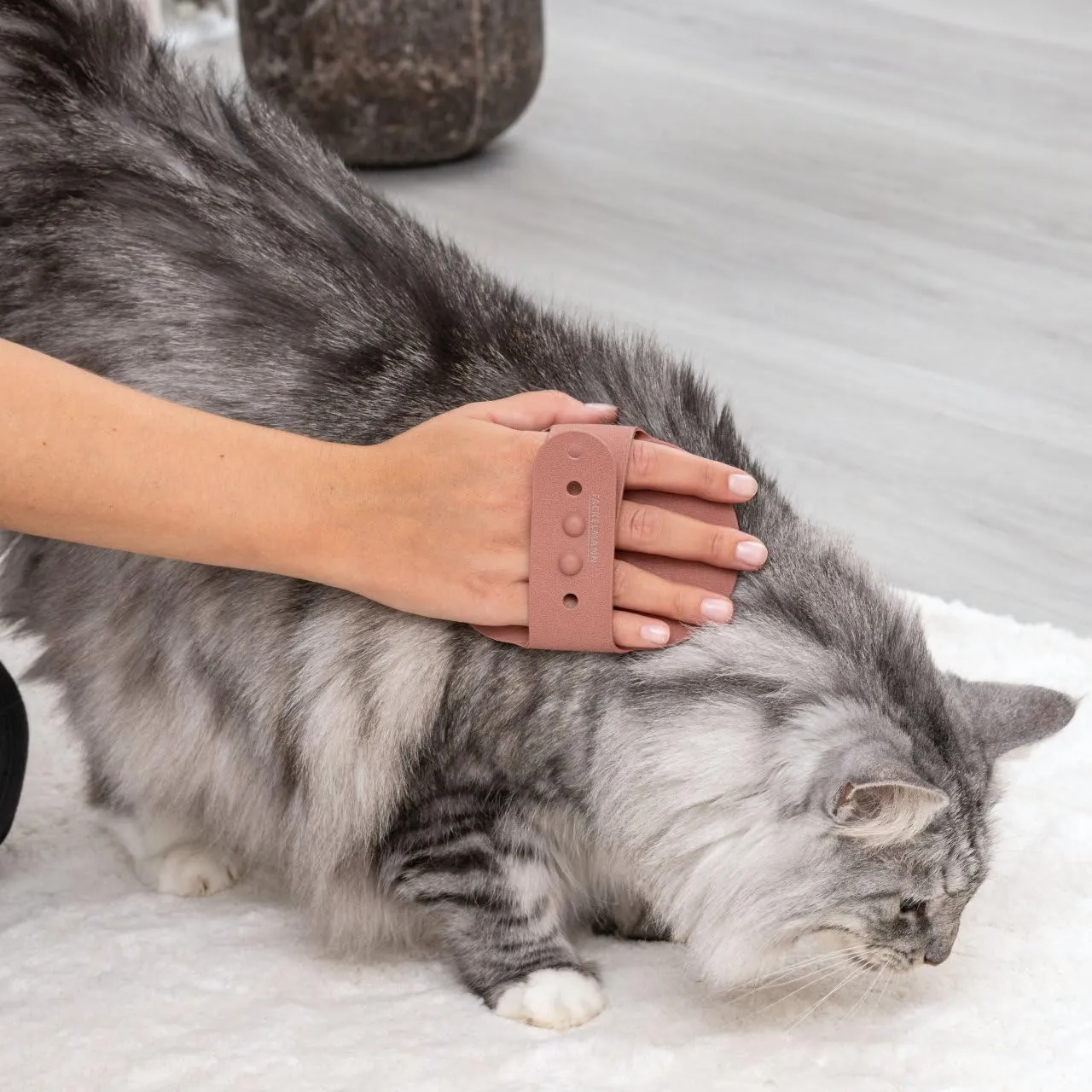 Fackelmann Spazzola massaggiante per animali, ideale per favorire il benessere del manto, riutilizzabile, lavabile a mano, leggera e perfetta per cani e gatti - immagine 7
