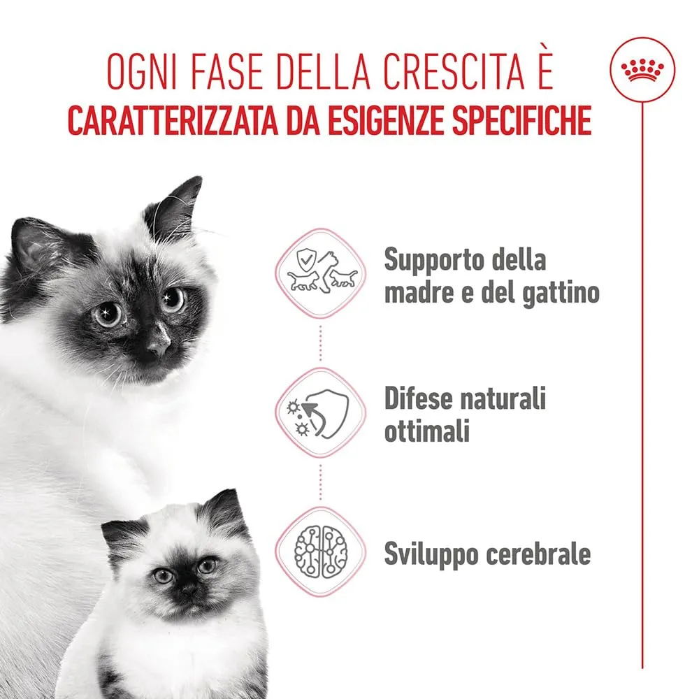 ROYAL CANIN Mother & Babycat - Alimento secco completo per gatti - 4kg - immagine 2