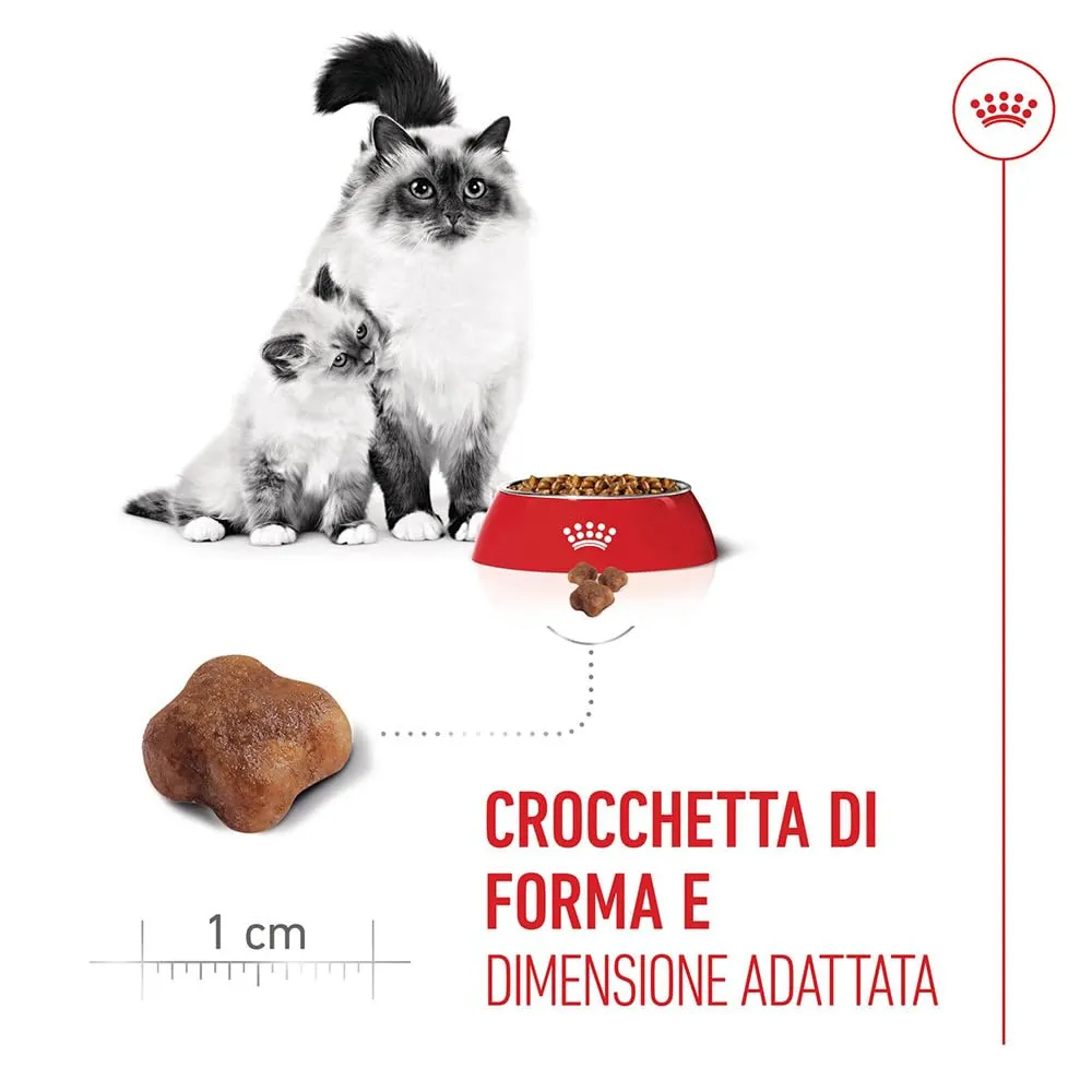 ROYAL CANIN Mother & Babycat - Alimento secco completo per gatti - 4kg - immagine 4