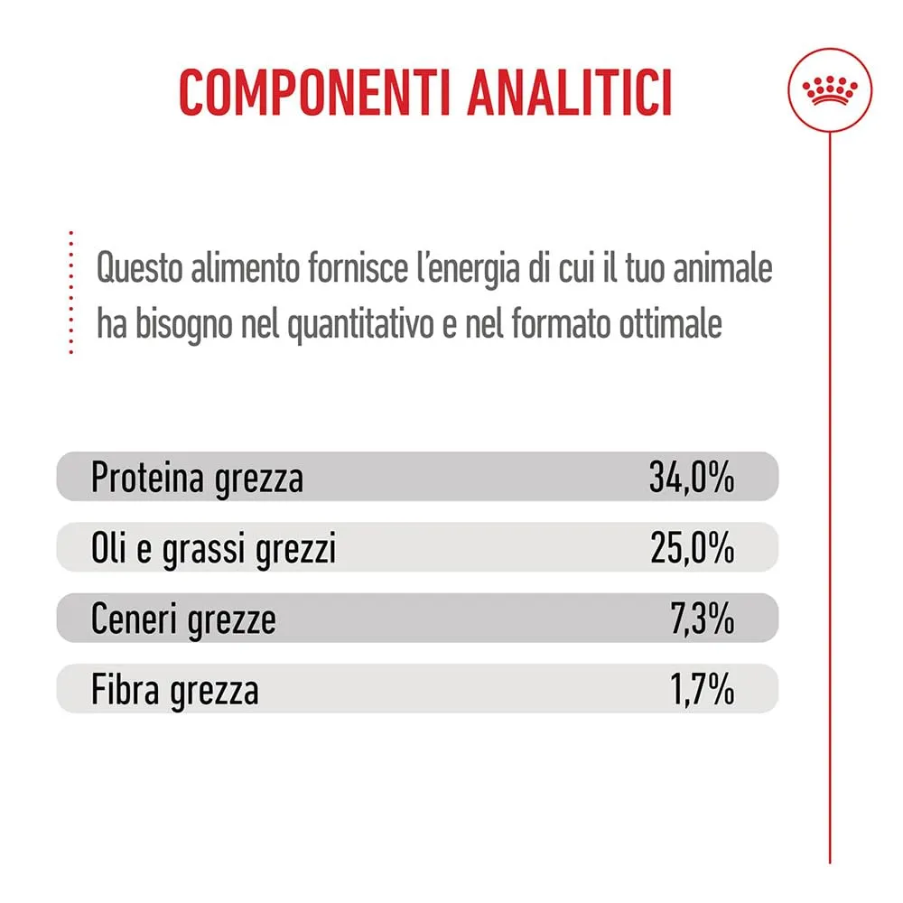 ROYAL CANIN Mother & Babycat - Alimento secco completo per gatti - 4kg - immagine 6