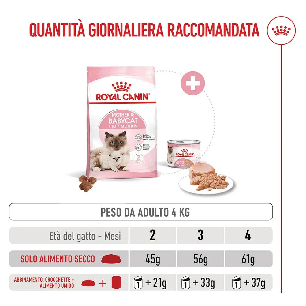 ROYAL CANIN Mother & Babycat - Alimento secco completo per gatti - 4kg - immagine 7