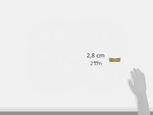 animonda Vom Feinsten Kitten, alimento umido per gattini in crescita nel primo anno di vita, con pollame, 32 x 100 g - immagine 3