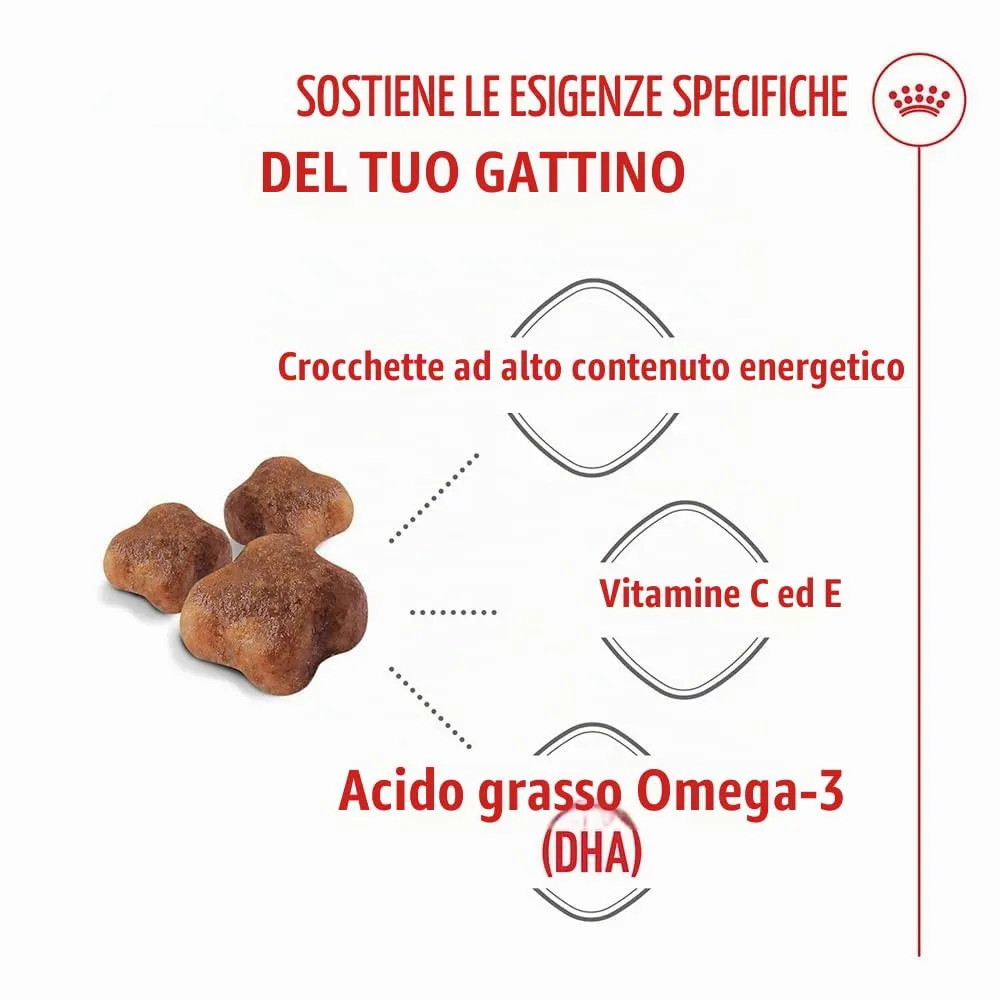 Royal Canin Mother & Babycat | 400 g | Alimento secco per gatti | Specialmente formulato per la mamma gatta e i suoi cuccioli | Per rafforzare le difese immunitarie naturali e lo sviluppo cerebrale - immagine 4