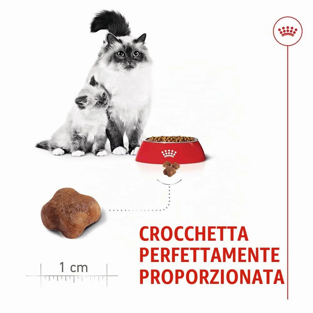 Royal Canin Mother & Babycat | 400 g | Alimento secco per gatti | Specialmente formulato per la mamma gatta e i suoi cuccioli | Per rafforzare le difese immunitarie naturali e lo sviluppo cerebrale - immagine 5