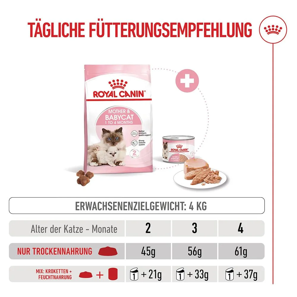 Royal Canin Mother & Babycat | 400 g | Alimento secco per gatti | Specialmente formulato per la mamma gatta e i suoi cuccioli | Per rafforzare le difese immunitarie naturali e lo sviluppo cerebrale - immagine 6