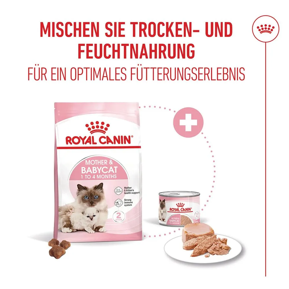 Royal Canin Mother & Babycat | 400 g | Alimento secco per gatti | Specialmente formulato per la mamma gatta e i suoi cuccioli | Per rafforzare le difese immunitarie naturali e lo sviluppo cerebrale - immagine 7