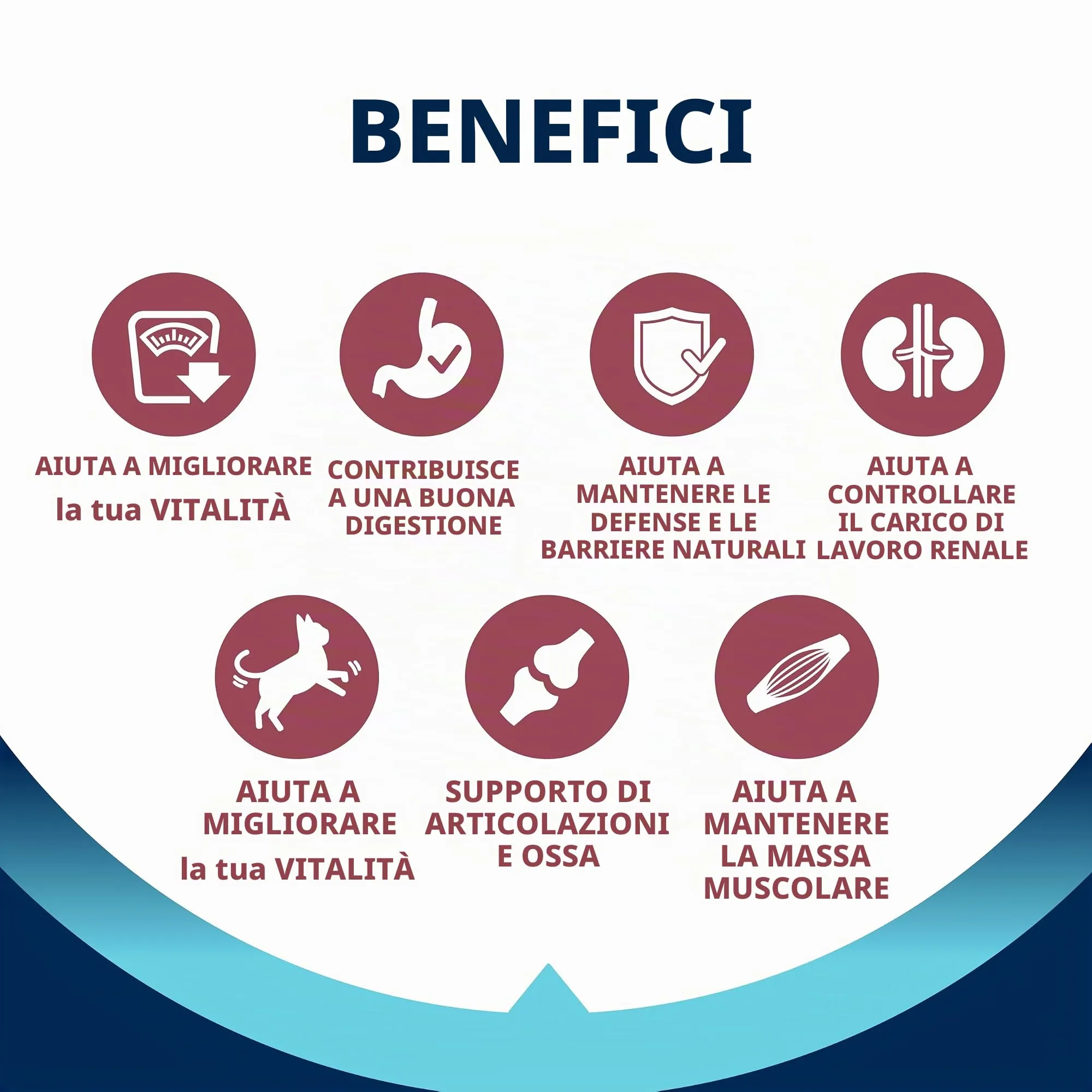 Advance – Cibo secco per gatti, sterilizzato, senior, da 10 anni, 1.5 kg - immagine 4