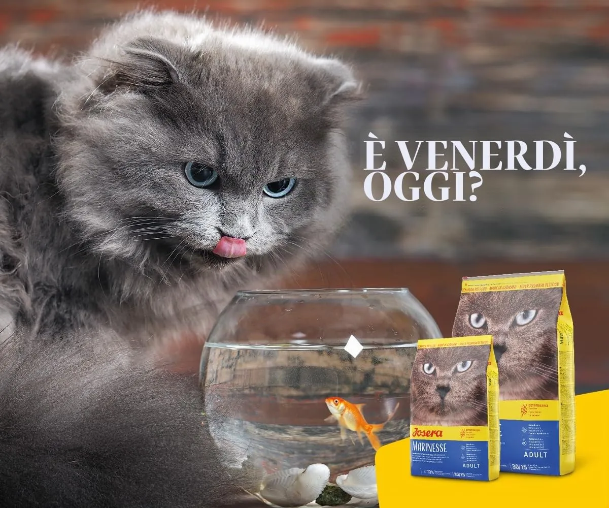 Josera Marinese cats dry food 10 kg Adult Potato Salmon - immagine 7