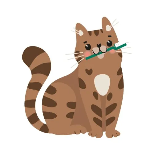 animonda Vom Feinsten Kitten, alimento umido per gattini in crescita nel primo anno di vita, con manzo, 32 x 100 g - immagine 2