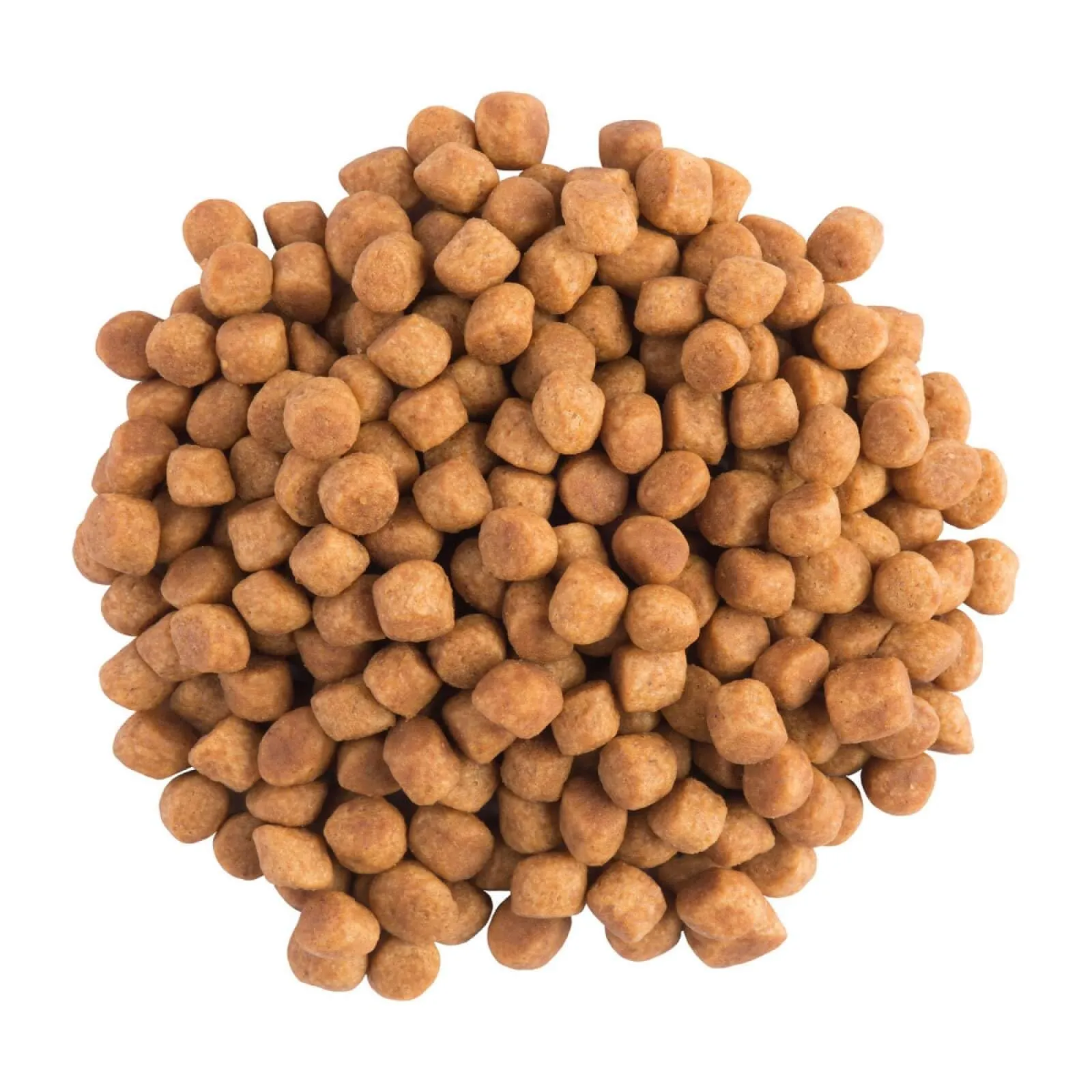 Purina Veterinary Diets’ feline EN - immagine 4