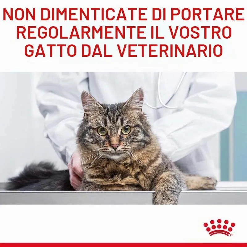Royal Canin Veterinary Satiety Weight Management Feline | 400g | Alimento dietetico completo per gatti | Per gatti a basso contenuto energetico per ridurre il sovrappeso - immagine 4