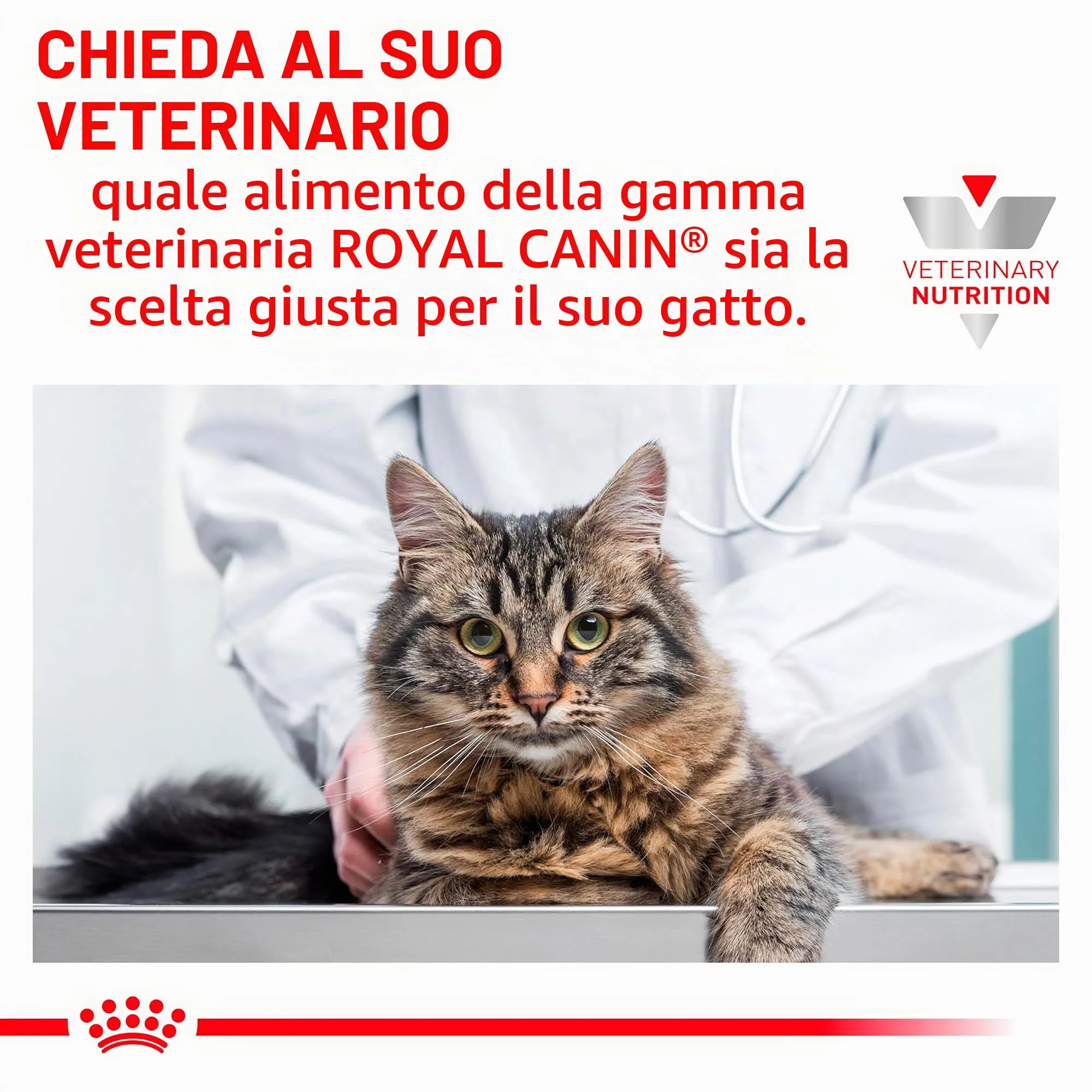 Veterinary Gastrointestinal | Cibo umido per gatti | 12 x 85 g | In salsa - immagine 5