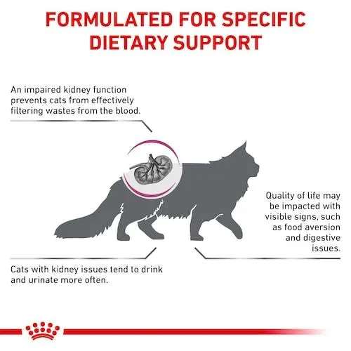 Royal Canin Veterinary Renal Select | 400 g | Alimento dietetico completo per gatti | Per il supporto della funzione renale - immagine 5