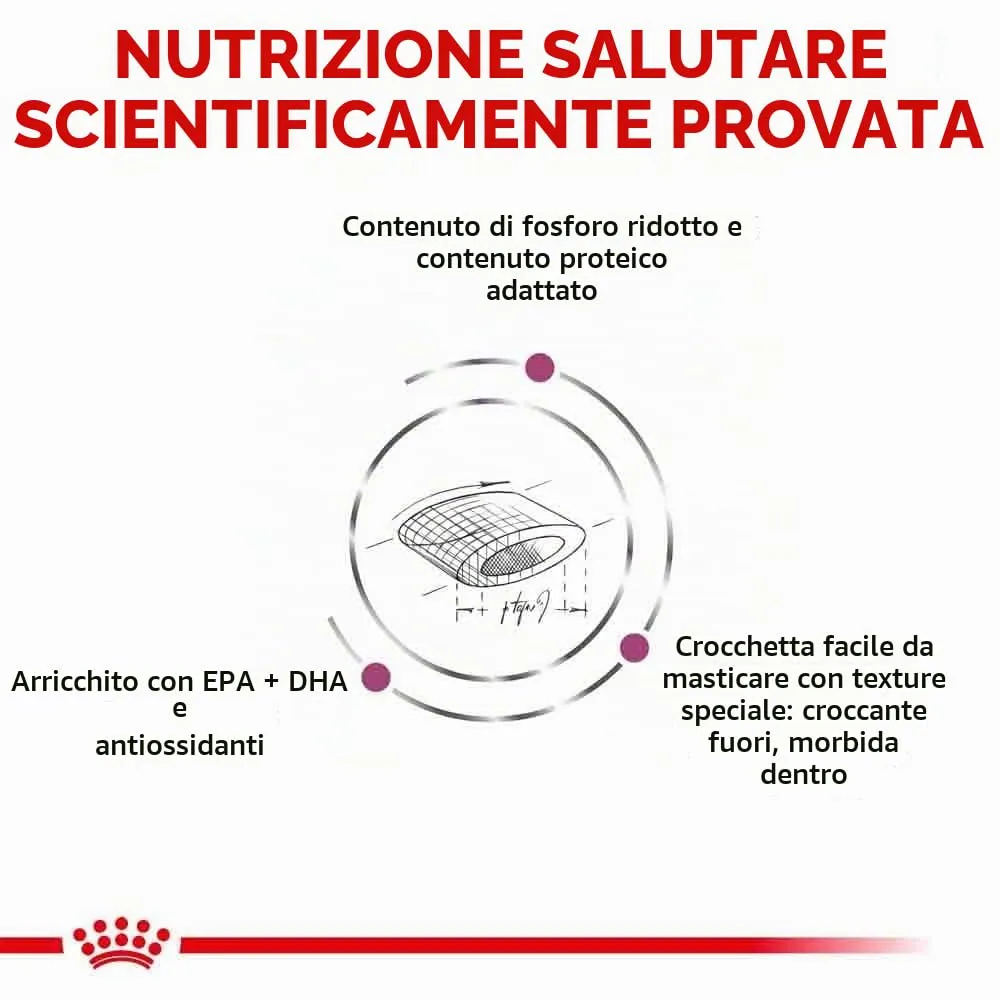 Royal Canin Veterinary Renal Select | 400 g | Alimento dietetico completo per gatti | Per il supporto della funzione renale - immagine 7
