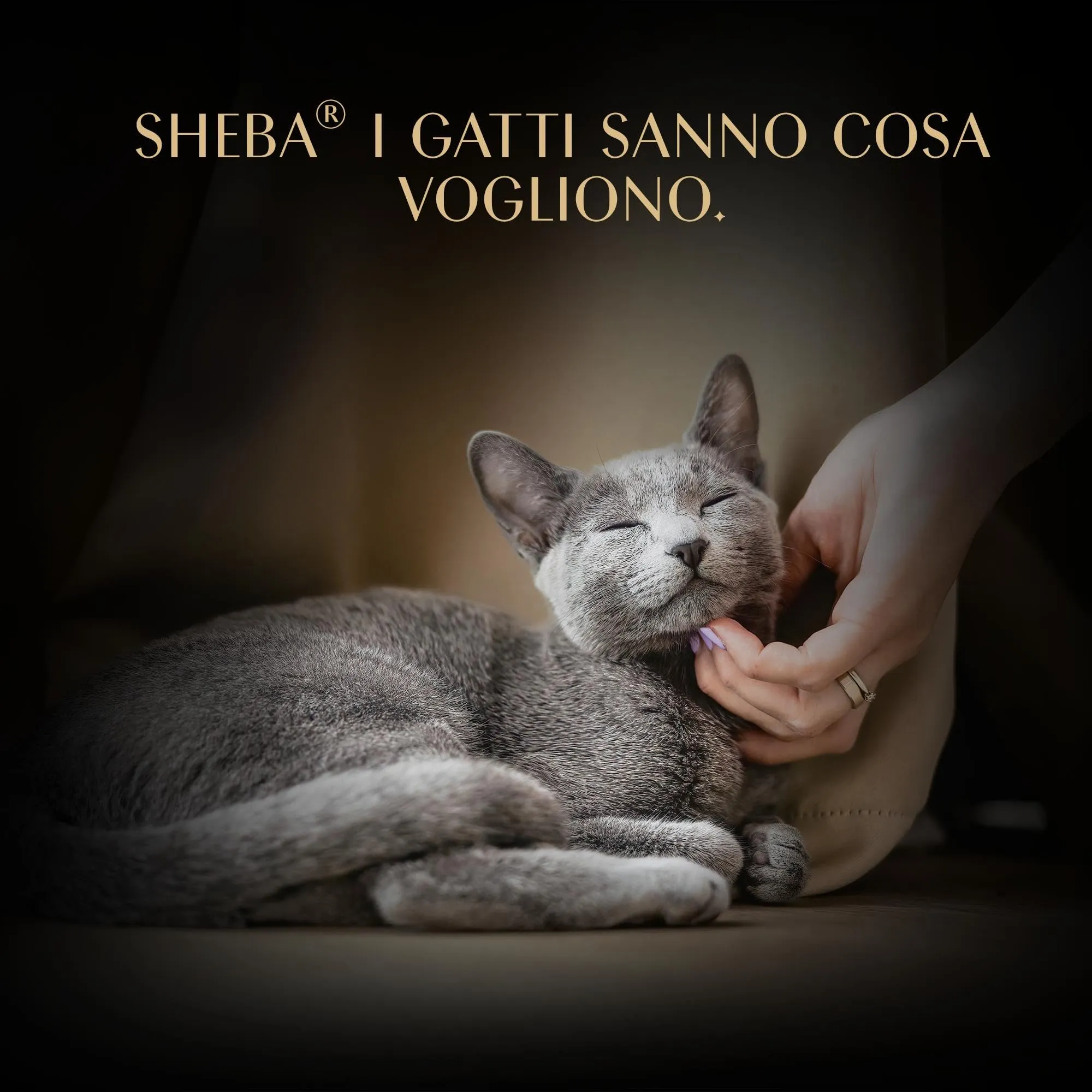 Busta di cibo umido per gatti adulti SHEBA Soup con Tonno, confezione da 40 (10x4x40g) - immagine 6